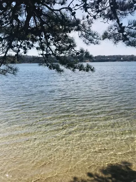 View/Area - 34 Cappawack Rd, Mashpee, MA 02649 photo 3 of 5