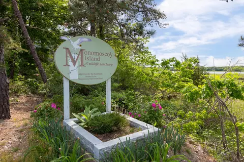 305 Monomoscoy Rd, Mashpee, MA 02649 photo 38