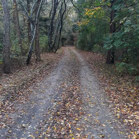 0 Ox Pasture Rd, Sandwich, MA 02563
