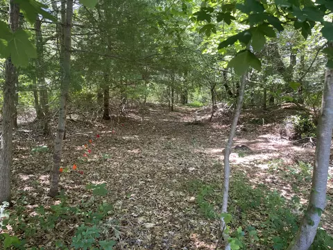 Other - 106 Old Great Neck Rd, Mashpee, MA 02649 photo 3 of 6