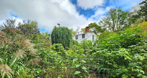 2016 Main St, Brewster, MA 02631 photo 44