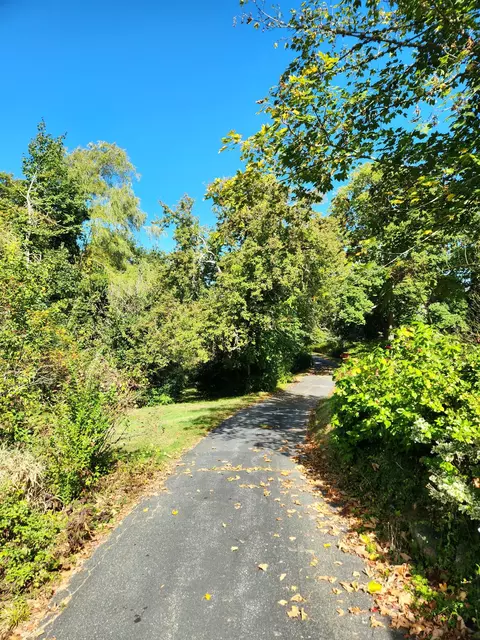 2016 Main St, Brewster, MA 02631 photo 19