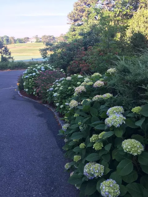Other - 236 Glenneagle Dr, Mashpee, MA 02649 photo 7 of 10