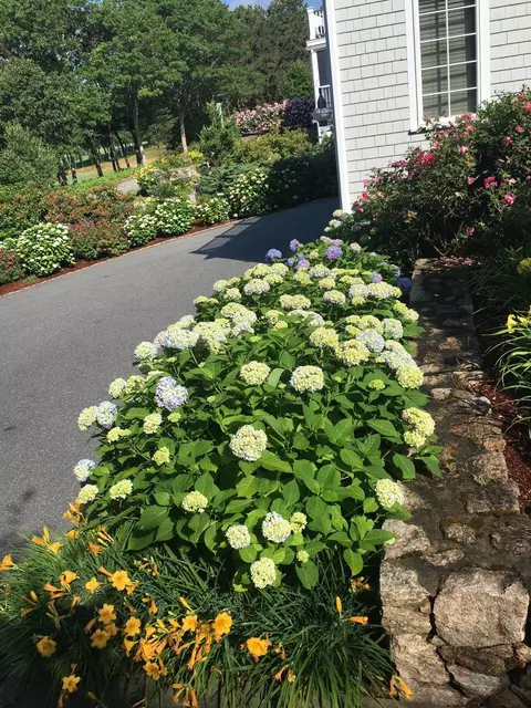 Exterior - 236 Glenneagle Dr, Mashpee, MA 02649 photo 16 of 16
