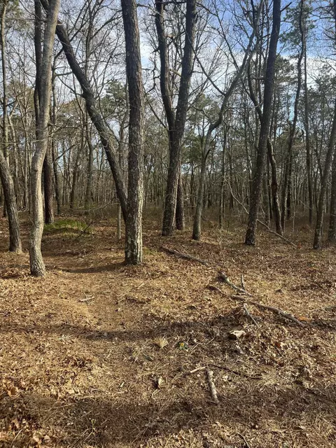 37 Cyprus Rd, South Dennis, MA 02660