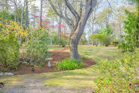 374 Putnam Ave, Cotuit, MA 02635 photo 35