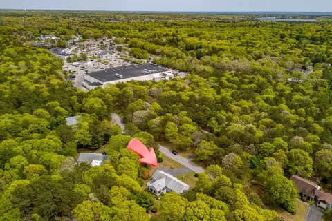 58 Tree Line Dr, Cotuit, MA 02635 photo 43