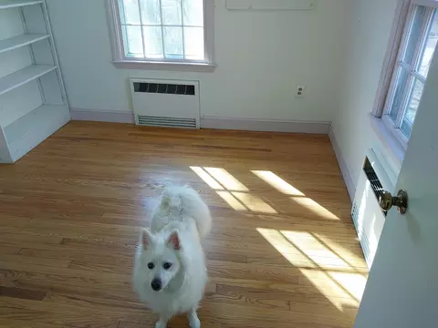 Bedroom - 10 Pine Point Rd, Wellfleet, MA 02667 photo 3 of 4