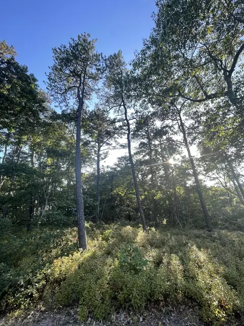 30 Sam Hollow Rd, Wellfleet, MA 02667