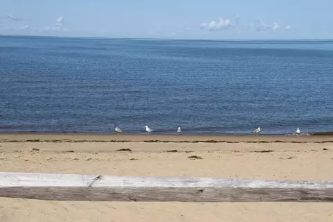 View/Area - 495 Aspinet Rd, Eastham, MA 02642 photo 5 of 5