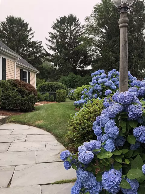 Exterior - 40 Riverview Ln, Centerville, MA 02632 photo 3 of 7