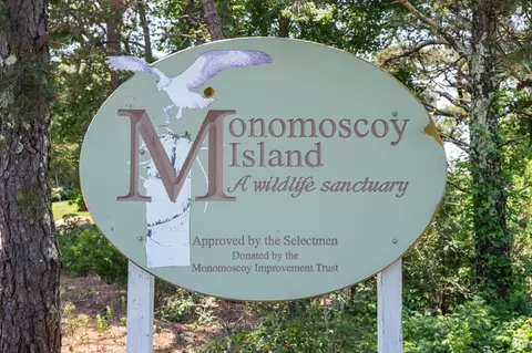 Other - 183 Monomoscoy Rd, Mashpee, MA 02649 photo 1 of 5