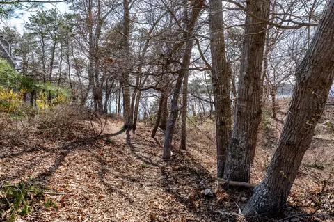 Exterior - 67 Crawford Rd, Cotuit, MA 02635 photo 2 of 4