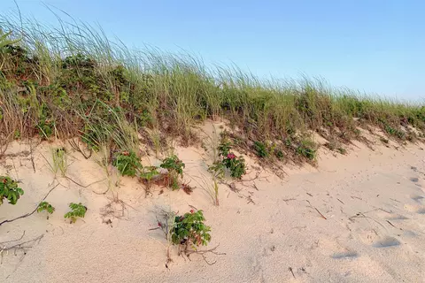 Other - 20 Priscilla Cir, Eastham, MA 02642 photo 9 of 10