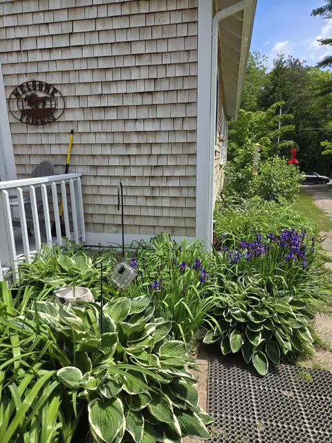 Exterior - 199 Cammett Rd, Marstons Mills, MA 02648 photo 11 of 11