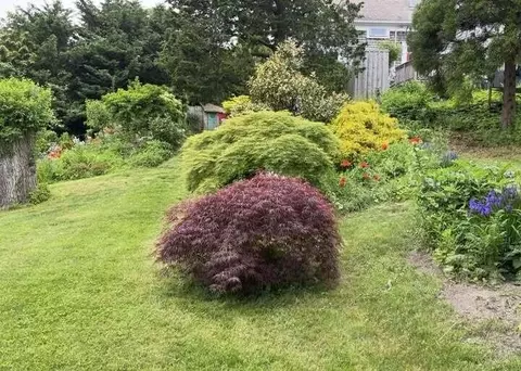727 Main St, Chatham, MA 02633 photo 5