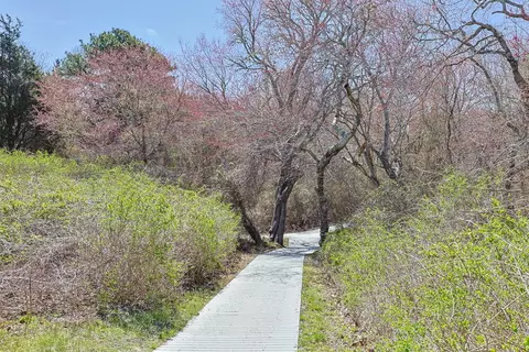 35 Sands Rd, Eastham, MA 02642 photo 79