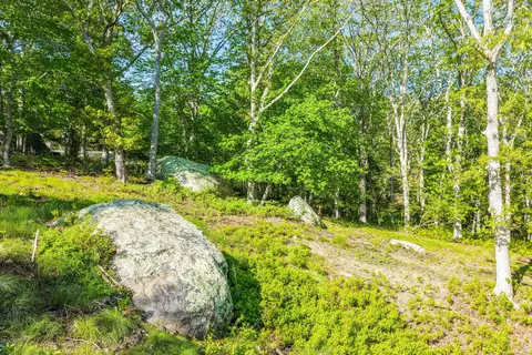 34 Ebens Ln, Chilmark, MA 02535 photo 5