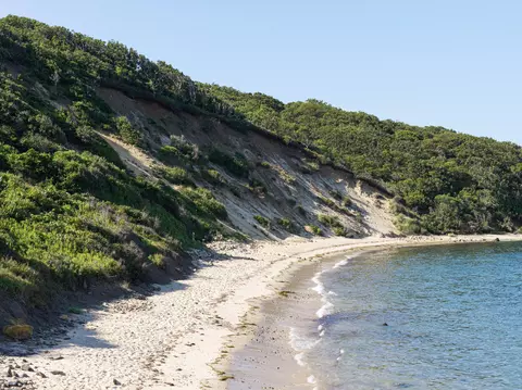 View/Area - 25 Brickyard Rd, Chilmark, MA 02535 photo 6 of 10