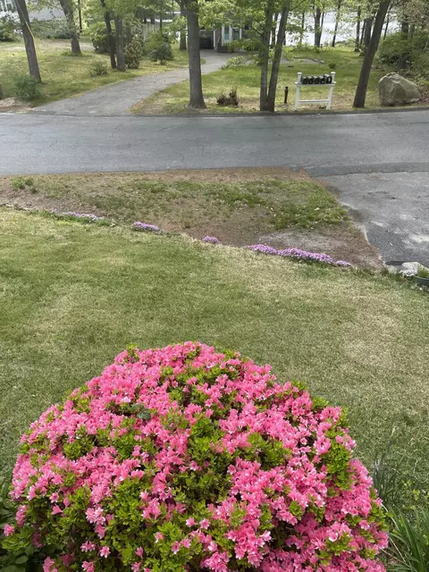 Exterior - 84 Eel Pond Rd, Monument Beach, MA 02553 photo 10 of 11