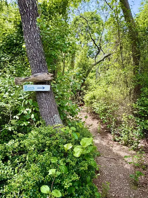 65 Pilgrims Path, Eastham, MA 02642 photo 46