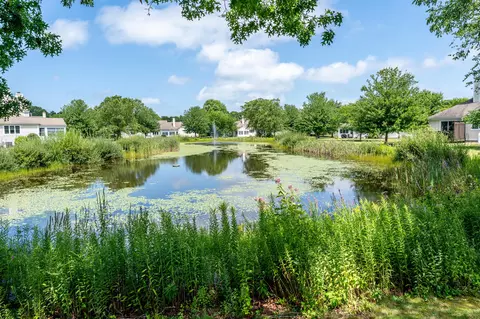 View/Area - 7 Ironwood Path, Mashpee, MA 02649 photo 1 of 3
