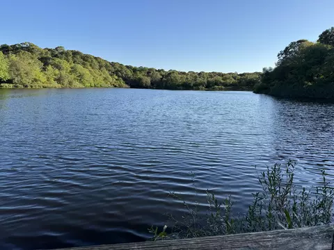 View/Area - 1580 Main St, Brewster, MA 02631 photo 1 of 3