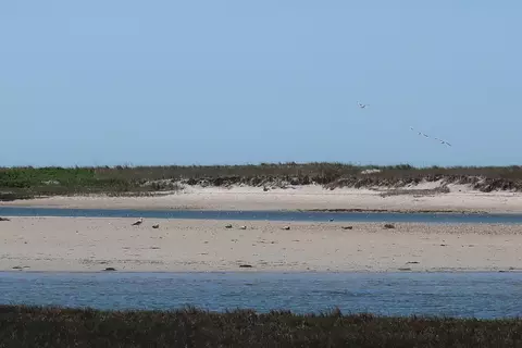 View/Area - 140 Sixth Ave, West Hyannisport, MA 02672 photo 3 of 12