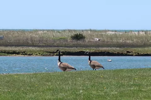 View/Area - 140 Sixth Ave, West Hyannisport, MA 02672 photo 8 of 12