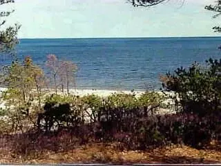 50 Vineyard, Cotuit, MA 02635 photo 3