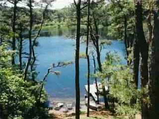45 Duck Marsh, Eastham, MA 02642 photo 2
