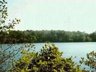 2 Crossway, Osterville, MA 02655 photo 3