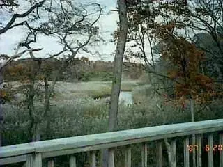 313 Elliott, Centerville, MA 02632 photo 2