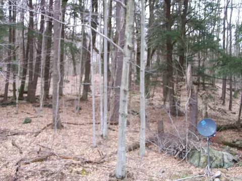 234 Tyringham Rd, Otis, MA 01253 photo 27