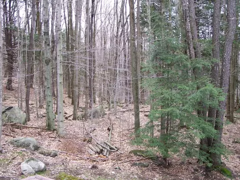 234 Tyringham Rd, Otis, MA 01253 photo 28