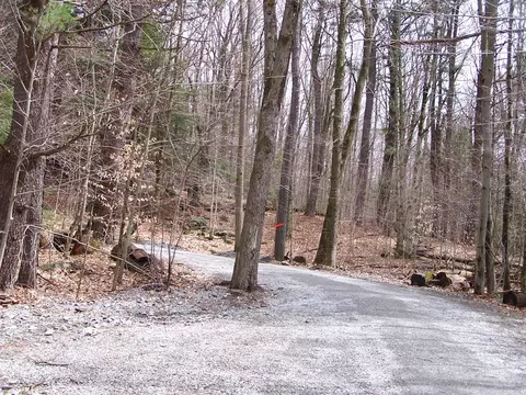 234 Tyringham Rd, Otis, MA 01253 photo 29