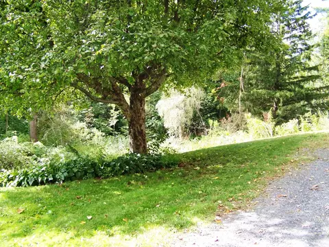 195 Greylock St, Lee, MA 01238 photo 45