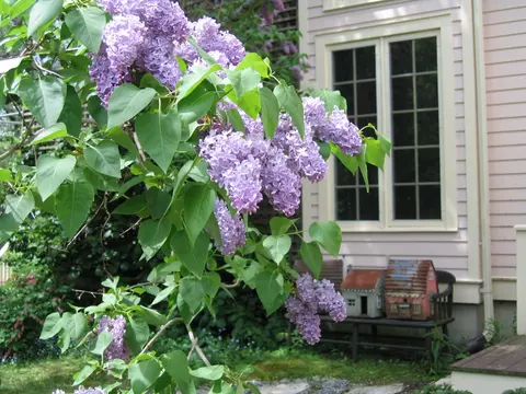 74 E Main St, Stockbridge, MA 01262 photo 54