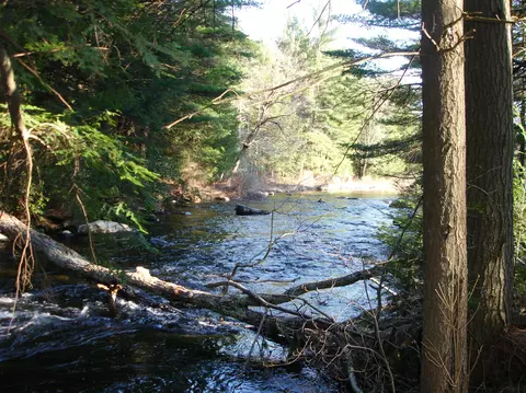 358 N Main Rd, Otis, MA 01253 photo 12
