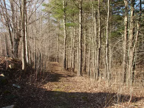 358 N Main Rd, Otis, MA 01253 photo 11