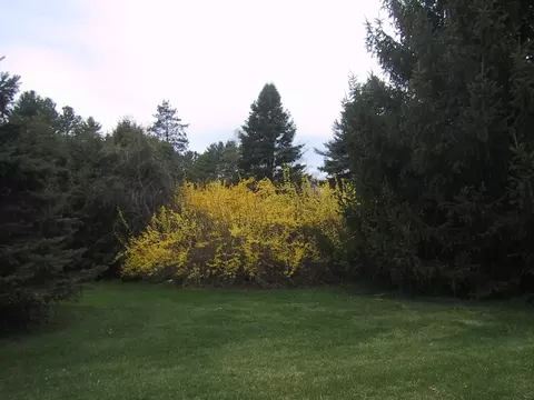 94 Root Ln, Sheffield, MA 01257 photo 3
