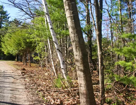 70 Point Rd, Otis, MA 01253 photo 7