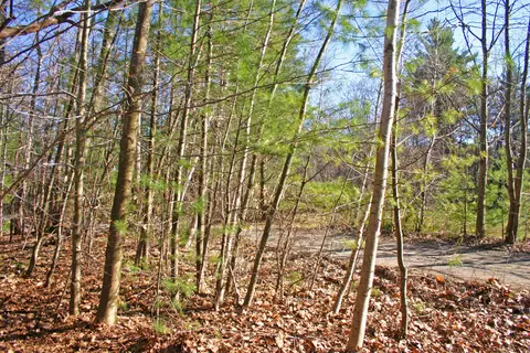 70 Point Rd, Otis, MA 01253 photo 16
