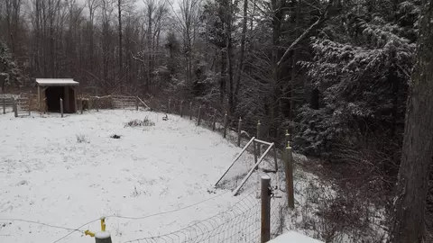 66 Dimmock Rd, Otis, MA 01253 photo 6