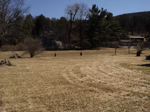 135 Tyringham Rd, Lee, MA 01238 photo 3