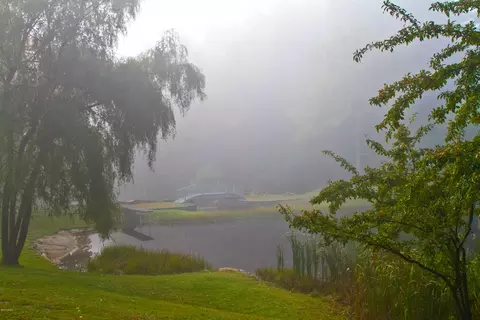 2 Brace Rd, Tyringham, MA 01264 photo 44