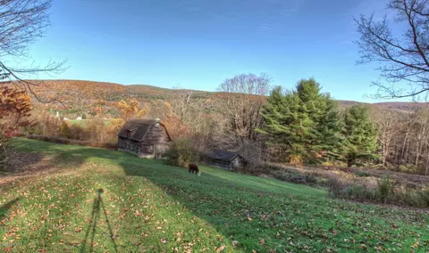 25 Jerusalem Rd, Tyringham, MA 01264 photo 4