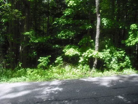 25 Antelope Dr, Lee, MA 01238 photo 1