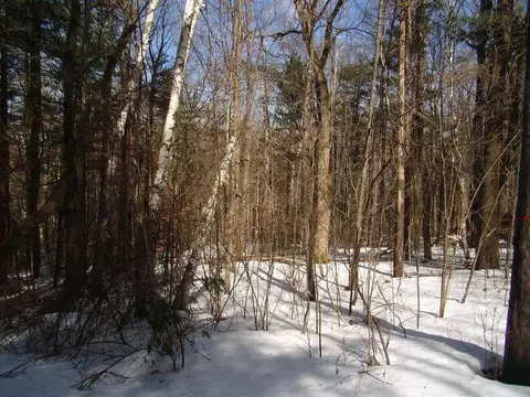 25 Antelope Dr, Lee, MA 01238 photo 9