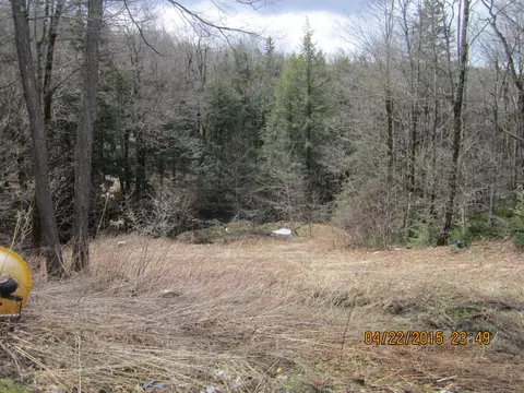 1061 Cheshire Rd, Windsor, MA 01270 photo 2